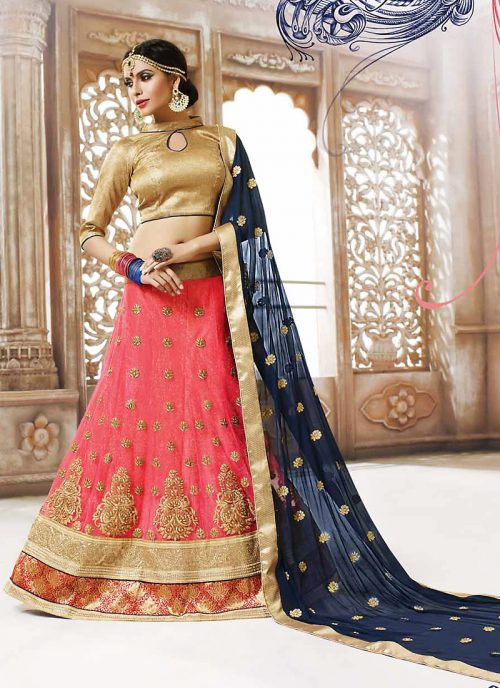 Women's Net Fabric and Salmon Pretty Circular Lehenga Style With Resham Work Dupatta by Brthika