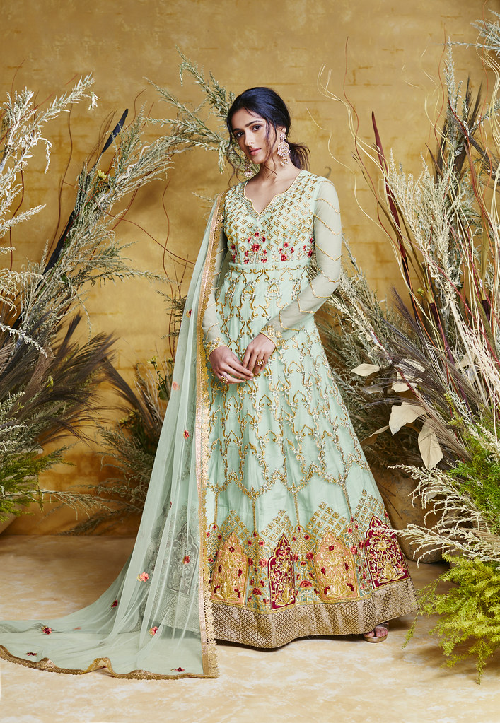 Sky Blue Butterfly Net Embroiderd Salwar Kameez