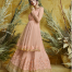 Peach Butterfly Net Embroiderd Salwar Kameez